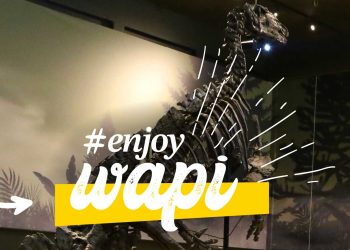enjoy-Wapi